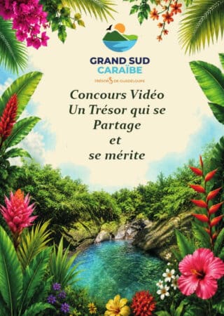 Affiche lancement concours vidéo